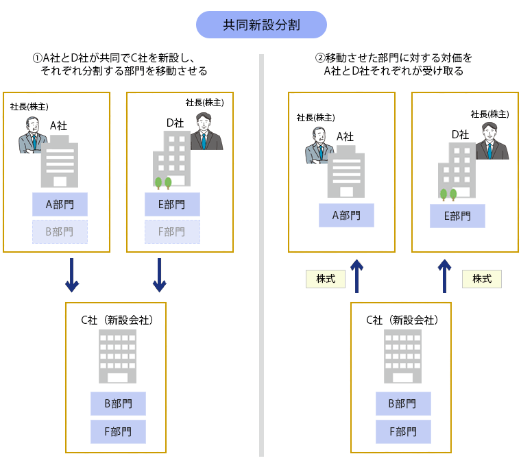 共同新設分割