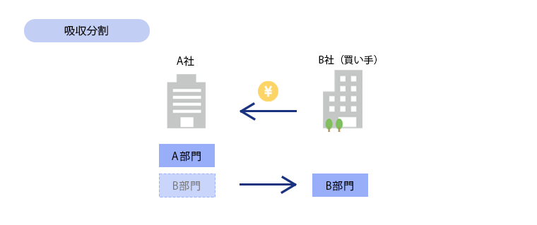 吸収分割2